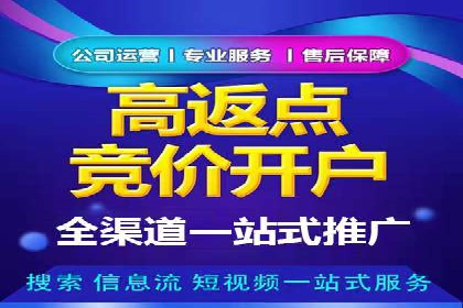 SEM代理操作技巧：成功案例揭秘